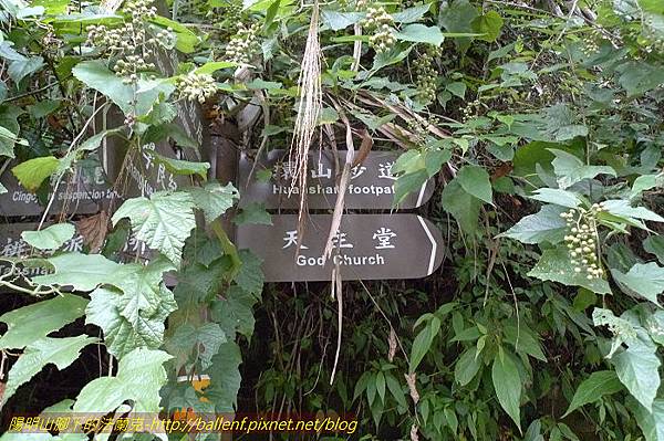 P1300684.jpg P1300684.jpg