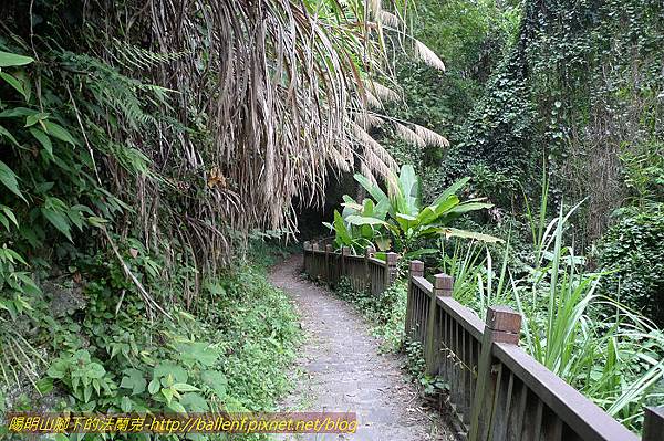 P1300686.jpg P1300686.jpg