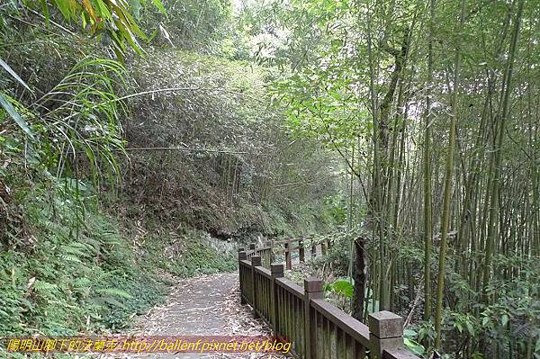 P1300687.jpg P1300687.jpg