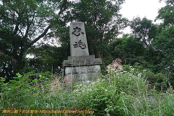 P1330467.jpg P1330467.jpg