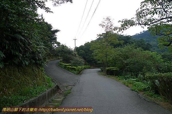 P1330474.jpg P1330474.jpg