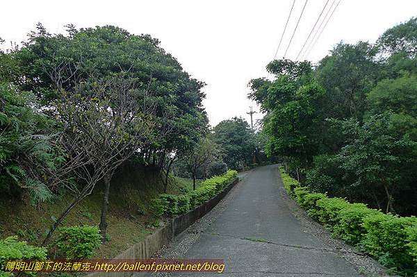 P1330475.jpg P1330475.jpg