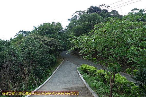 P1330479.jpg P1330479.jpg