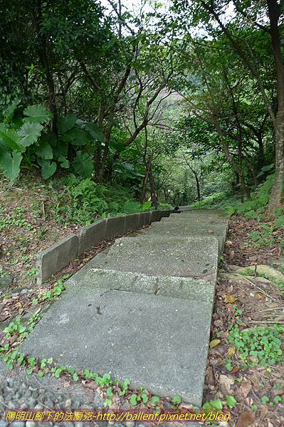 P1330481.jpg P1330481.jpg