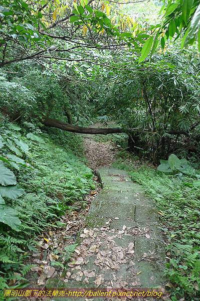 P1330482.jpg P1330482.jpg