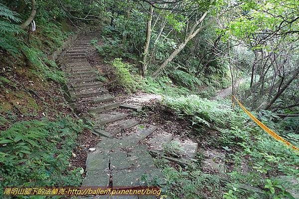 P1330483.jpg P1330483.jpg