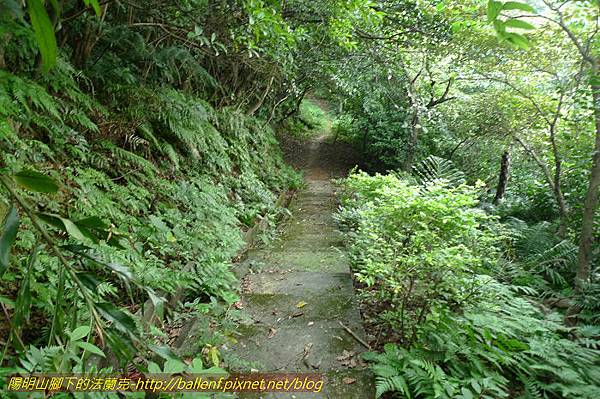 P1330484.jpg P1330484.jpg