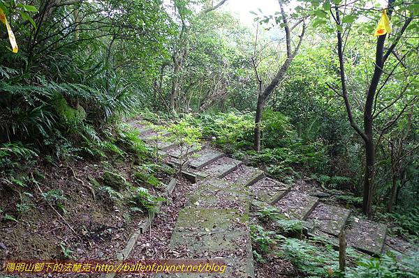 P1330485.jpg P1330485.jpg