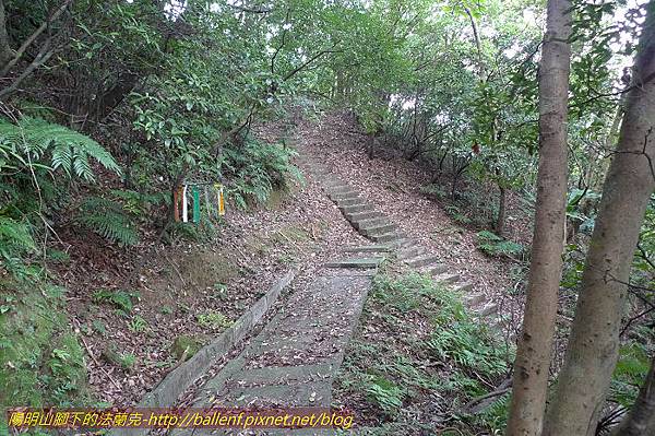 P1330486.jpg P1330486.jpg