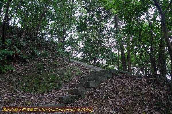 P1330487.jpg P1330487.jpg