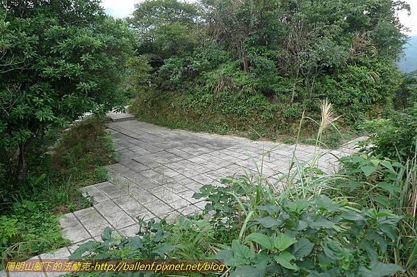 P1330488.jpg P1330488.jpg