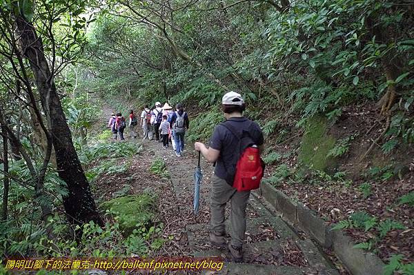 P1330494.jpg P1330494.jpg