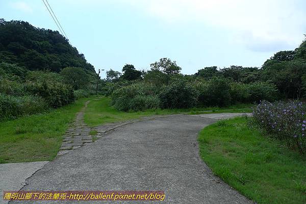 P1330497.jpg P1330497.jpg