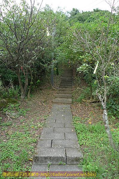 P1330498.jpg P1330498.jpg