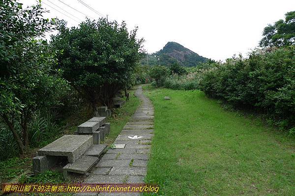 P1330516.jpg P1330516.jpg