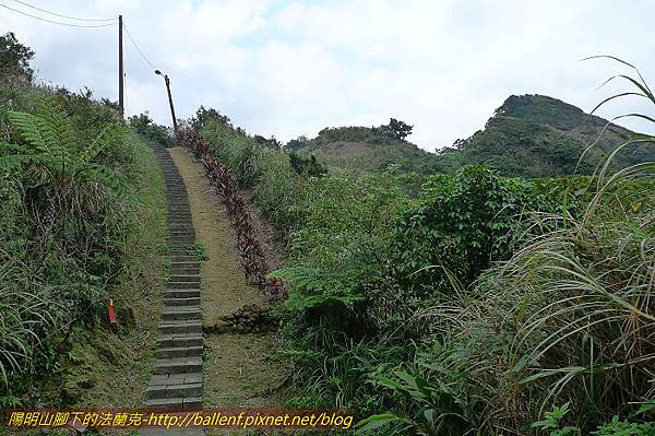 P1330518.jpg P1330518.jpg