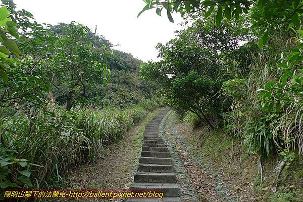 P1330521.jpg P1330521.jpg