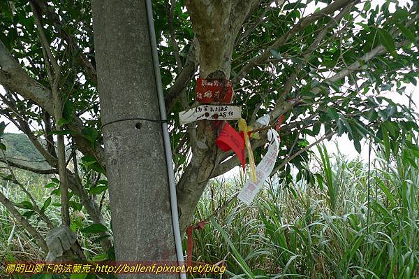 P1330532.jpg P1330532.jpg