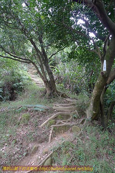 P1330534.jpg P1330534.jpg