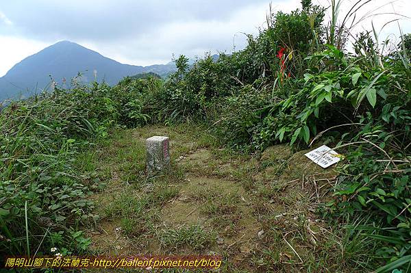 P1330535.jpg P1330535.jpg