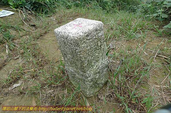 P1330537.jpg P1330537.jpg