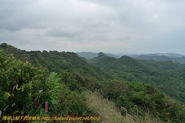 P1330544.jpg P1330544.jpg