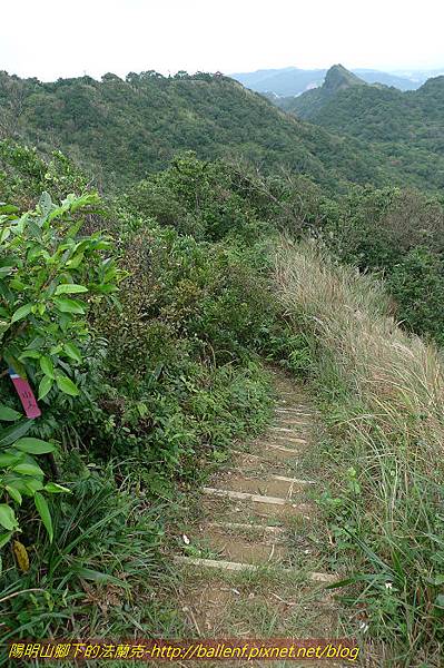 P1330545.jpg P1330545.jpg