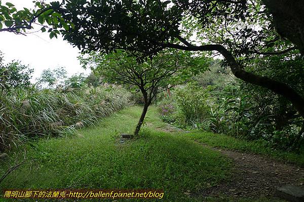 P1330546.jpg P1330546.jpg