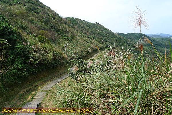 P1330548.jpg P1330548.jpg