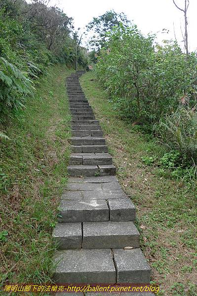 P1330550.jpg P1330550.jpg