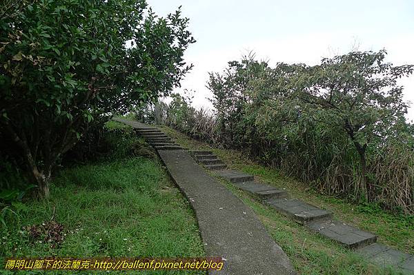 P1330570.jpg P1330570.jpg