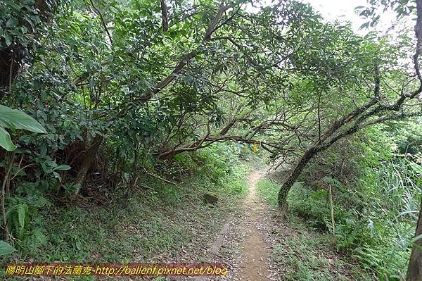 P1330587.jpg P1330587.jpg