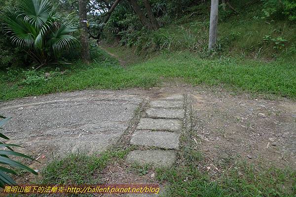 P1330589.jpg P1330589.jpg