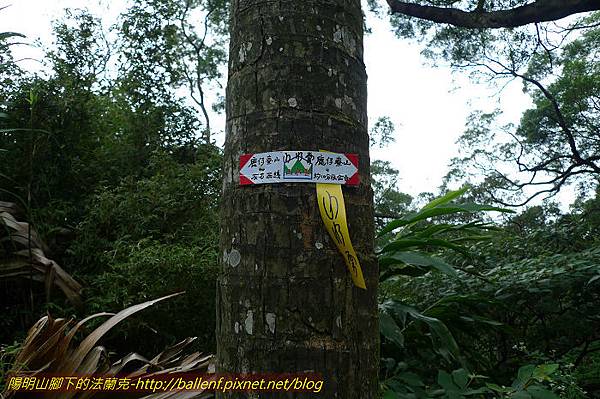 P1330590.jpg P1330590.jpg