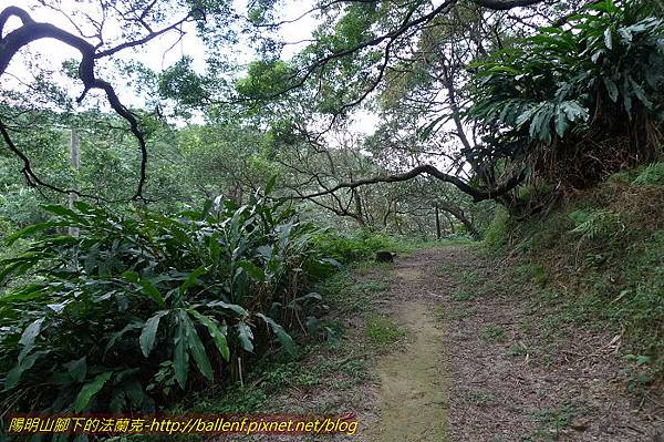 P1330591.jpg P1330591.jpg