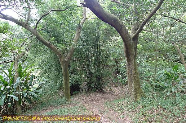 P1330592.jpg P1330592.jpg