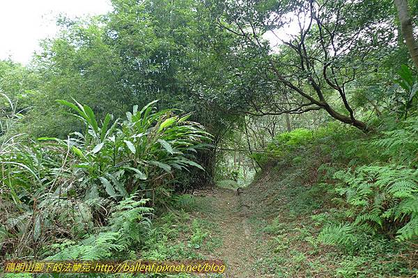 P1330595.jpg P1330595.jpg