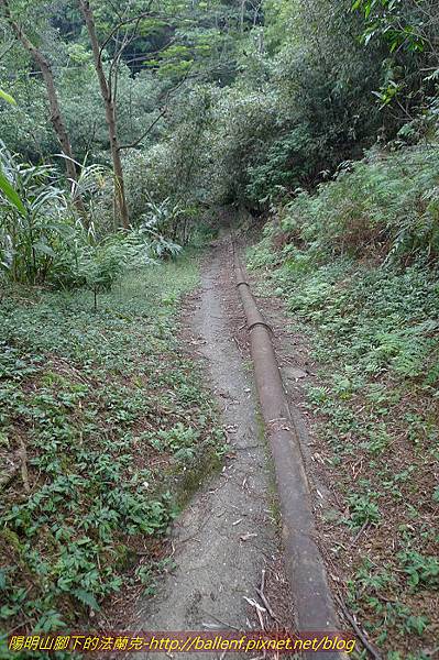 P1330596.jpg P1330596.jpg