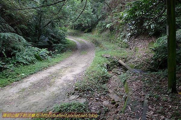 P1330597.jpg P1330597.jpg