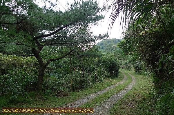 P1330601.jpg P1330601.jpg