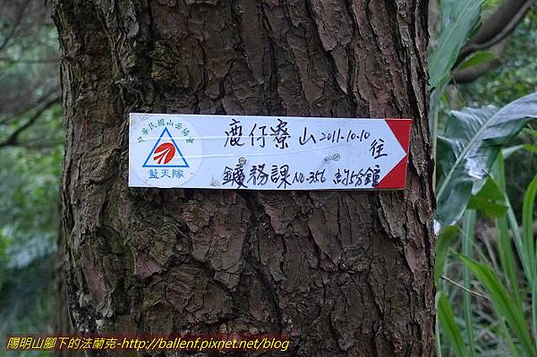 P1330602.jpg P1330602.jpg