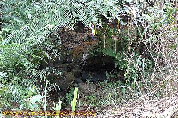 P1330603.jpg P1330603.jpg