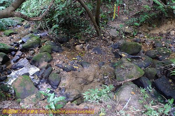 P1330604.jpg P1330604.jpg