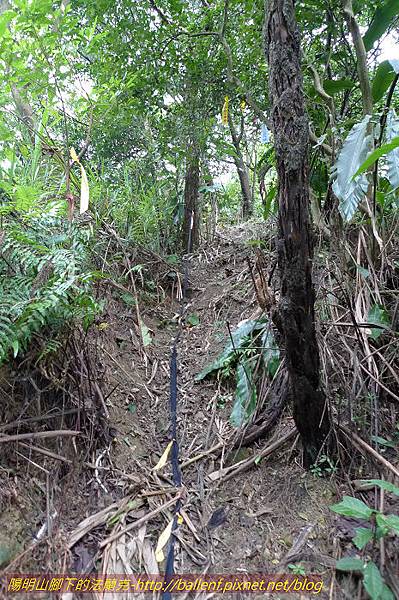 P1330605.jpg P1330605.jpg