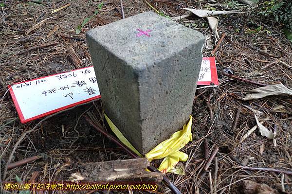 P1330607.jpg P1330607.jpg