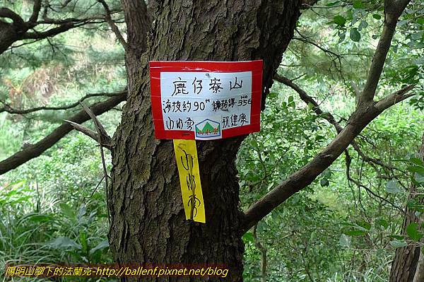 P1330608.jpg P1330608.jpg