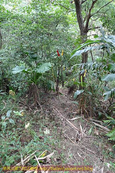 P1330610.jpg P1330610.jpg