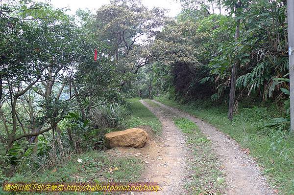 P1330612.jpg P1330612.jpg