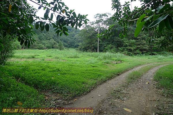 P1330615.jpg P1330615.jpg