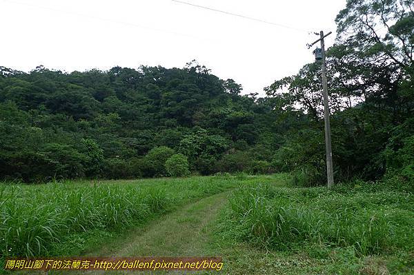 P1330618.jpg P1330618.jpg